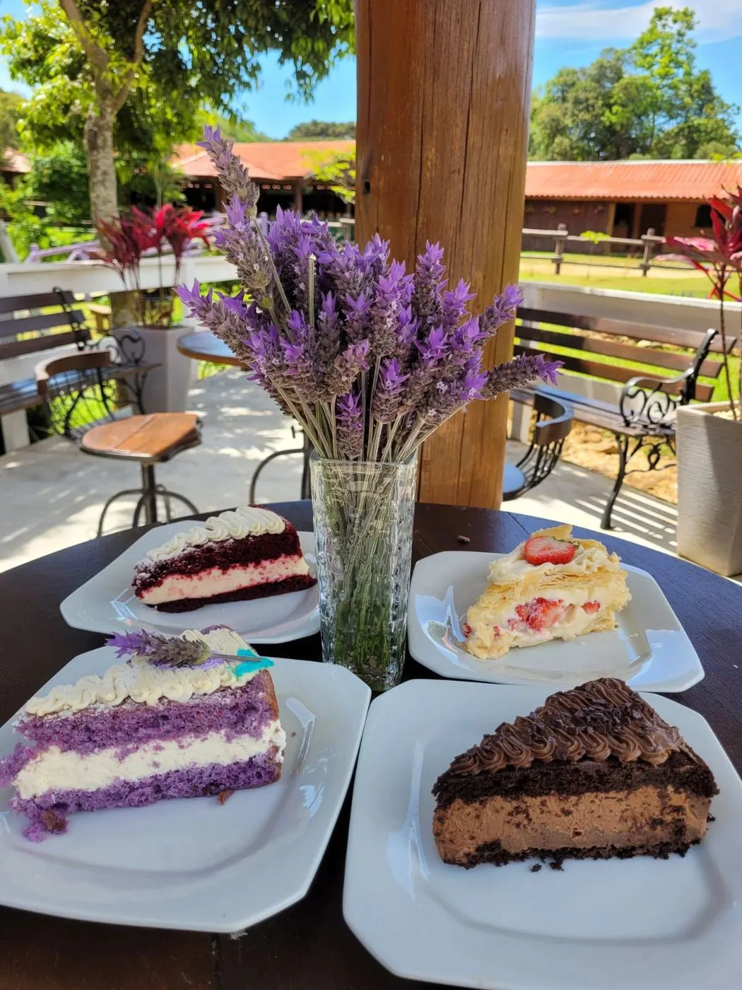 Fatias de bolo de lavanda com vaso de lavanda na varanda