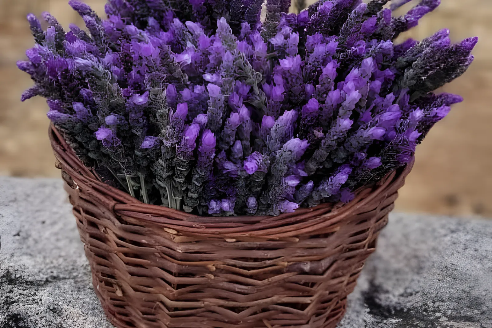 Cesto de vime cheio de lavanda